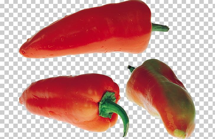 Chili Pepper Jalapeño PNG, Clipart, Bell Pepper, Birds Eye Chili, Capsicum, Cayenne Pepper, Chili Pepper Free PNG Download