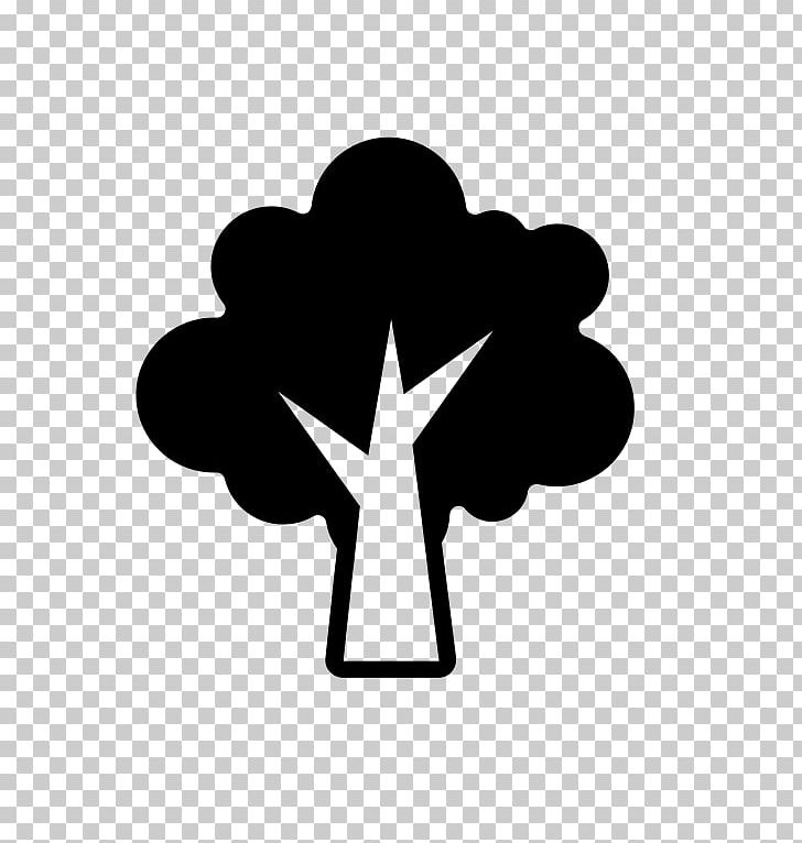 Computer Icons Tree Oak Symbol PNG, Clipart, Black And White, Collins British Tree Guide, Computer Icons, Heart, Logo Free PNG Download