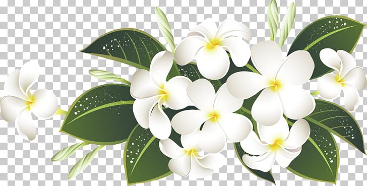 Flower PNG, Clipart, Clip Art, Coreldraw, Download, Editing, Encapsulated Postscript Free PNG Download