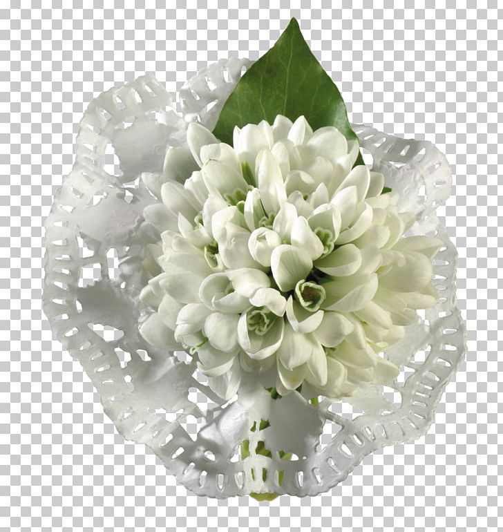 Snowdrop Portable Network Graphics Photography Flower PNG, Clipart, Artificial Flower, Cut Flowers, Digital Image, Flower, Flower Arranging Free PNG Download