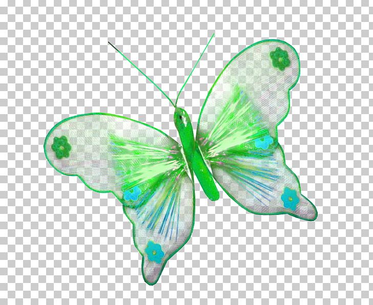 Butterfly Insect PNG, Clipart, Animal, Arthropod, Butterflies And Moths, Butterfly, Butterfly Effect Free PNG Download