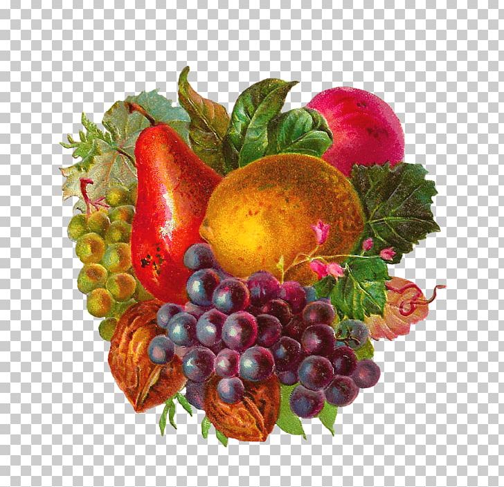 Fruit Vintage Clothing Apple PNG, Clipart, Antique, Apple, Apricot, Blackberry, Cherry Free PNG Download