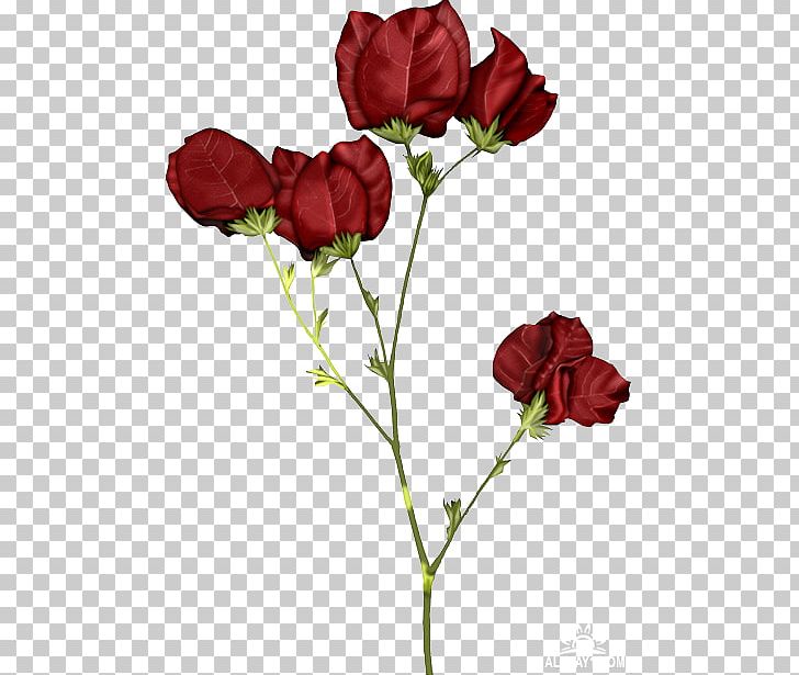 Garden Roses PNG, Clipart, Blue, Bud, Cut Flowers, Data, Floribunda Free PNG Download