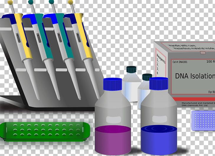 Molecular Biology Molecule Genetics Polymerase Chain Reaction PNG, Clipart, Biology, Cell, Cell Biology, Dna, Genetics Free PNG Download