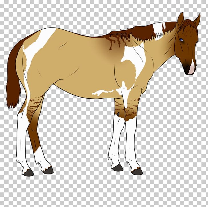 Mule Foal Stallion Pony Mare PNG, Clipart, Bridle, Color Spalsh, Colt, Dog Harness, Foal Free PNG Download