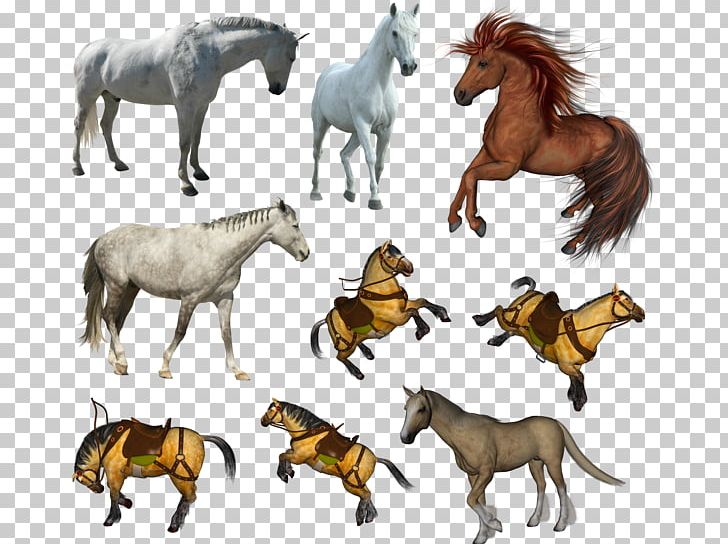 Mustang Pony Stallion PNG, Clipart, Animal Figure, Download, Equus, Fauna, Foal Free PNG Download
