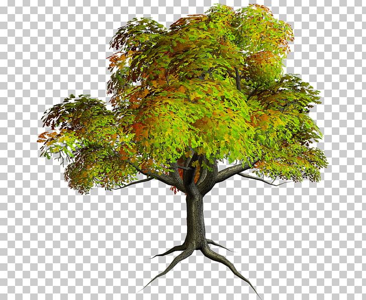 Tree PNG, Clipart, Blog, Branch, Computer Icons, Download, Houseplant Free PNG Download