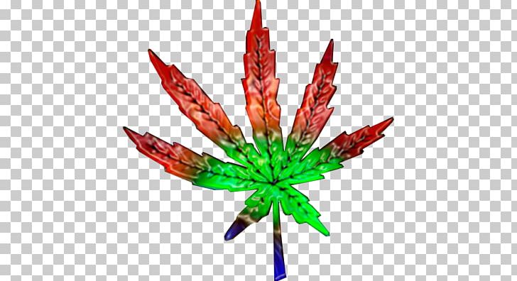 Cannabis PNG, Clipart, 3d Computer Graphics, Beat, Cannabis, Cannabis Smoking, Desktop Wallpaper Free PNG Download