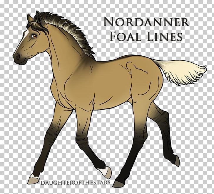 Foal Stallion Pony Mustang Colt PNG, Clipart, Animal Figure, Bridle, Colt, Drawing, Equestrian Free PNG Download