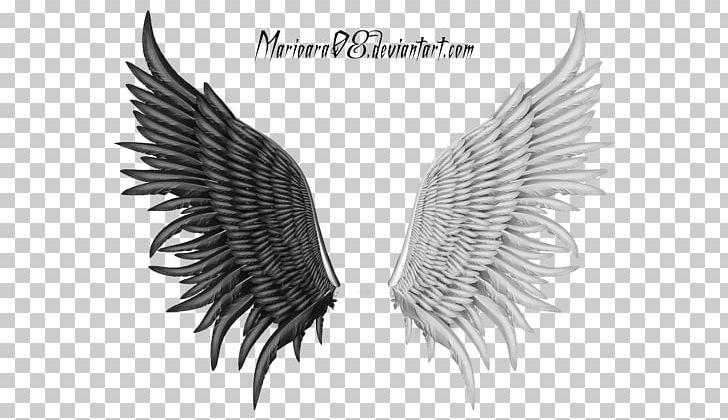Angel Feathers PNG, Clipart, Adobe Systems, Angel, Angel Feathers, Black And White, Document Free PNG Download