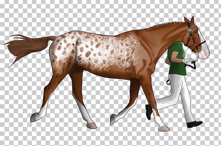 Mustang Foal Mare Stallion Rein PNG, Clipart, Animal Figure, Bit, Bridle, Colt, Foal Free PNG Download