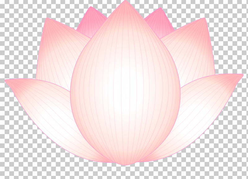 Lotus Flower PNG, Clipart, Aquatic Plant, Flower, Lighting, Lotus, Lotus Family Free PNG Download