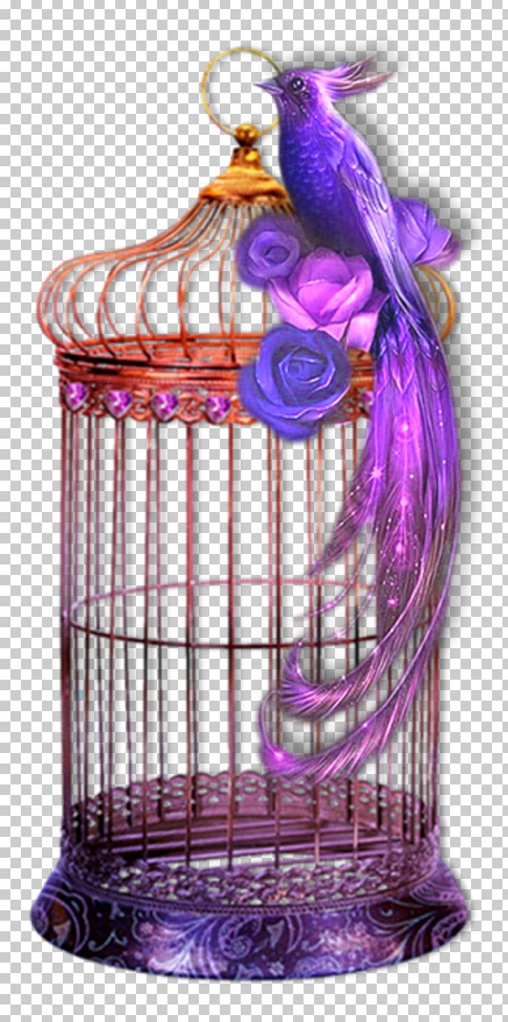 Bird .de Purple PNG, Clipart, Bird, Cage, Deco, Drawing, Internet Free PNG Download