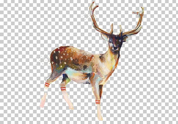 Deer Sock Paper Fitness Centre Illustration PNG, Clipart, Animal, Animals, Antler, Art, Canvas Free PNG Download