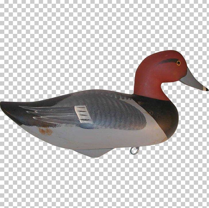 Mallard Duck Decoy Havre De Grace Wood Carving PNG, Clipart, Animals, Antique, Beak, Bird, Canard Free PNG Download