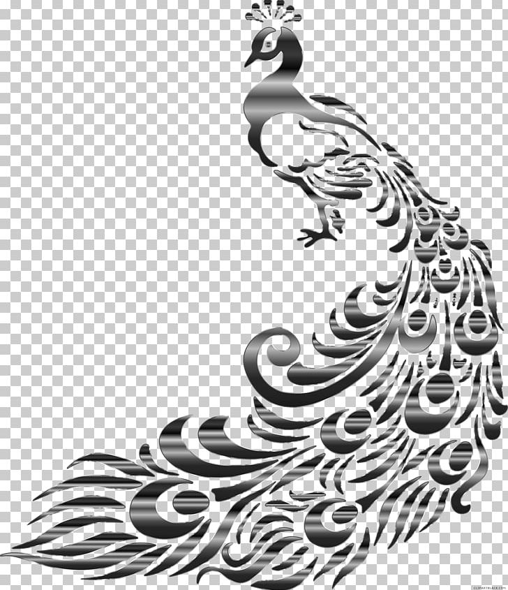 Drawing Asiatic Peafowl Graphics PNG, Clipart, Animal, Art, Asiatic Peafowl, Beak, Bird Free PNG Download
