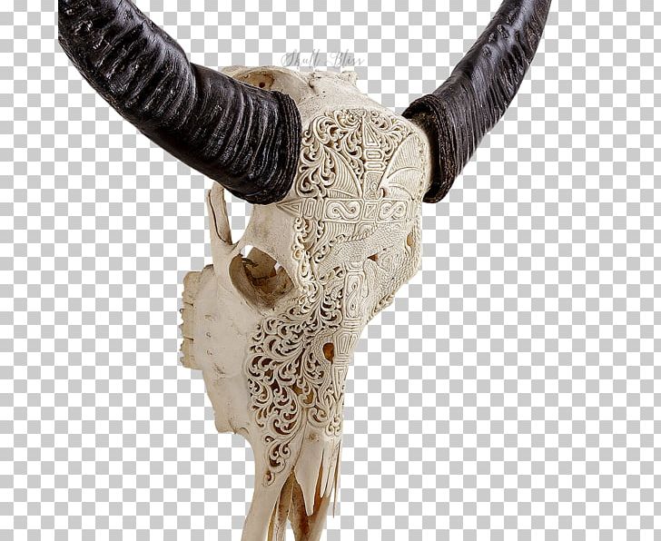 Horn Animal Skulls Cattle Bone PNG, Clipart, American Bison, Animal, Animal Skulls, Balinese People, Bone Free PNG Download