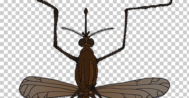 Insect Mosquito Animal Fly Pest PNG, Clipart, Animal, Animals, Arthropod, Bug Zapper, Environmental Education Free PNG Download
