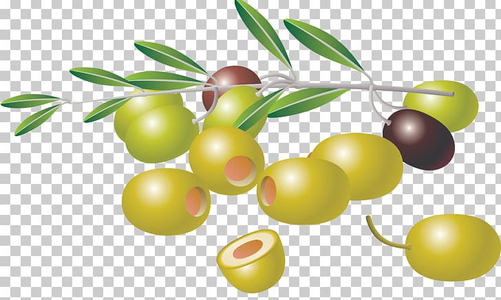 Olive Branch PNG, Clipart, Computer Icons, Download, Drawing, Food, Food Drinks Free PNG Download