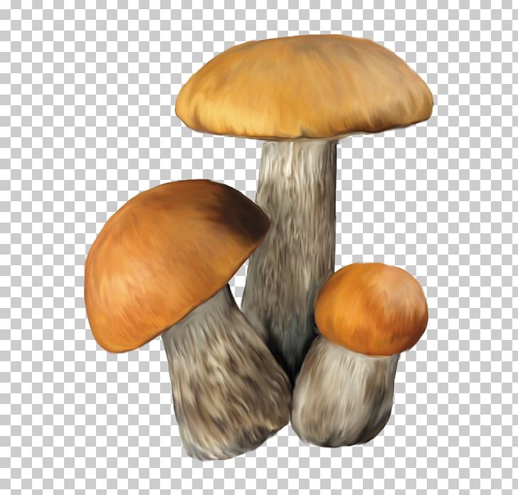 Aspen Mushroom Edible Mushroom PNG, Clipart, Aspen, Aspen Mushroom, Bab, Boletus Edulis, Clip Art Free PNG Download