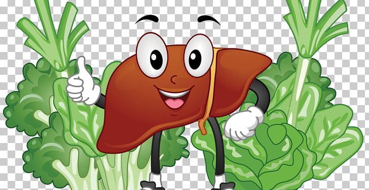 Liver Illustration Food PNG, Clipart, Carbohydrate, Cartoon, Drawing, Eating, Fictional Character Free PNG Download