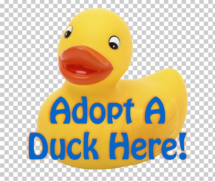 Rubber Duck 2018 Kentucky Derby Adoption Yellow PNG, Clipart, 2018 Kentucky Derby, Adoption, Animals, Beak, Bird Free PNG Download