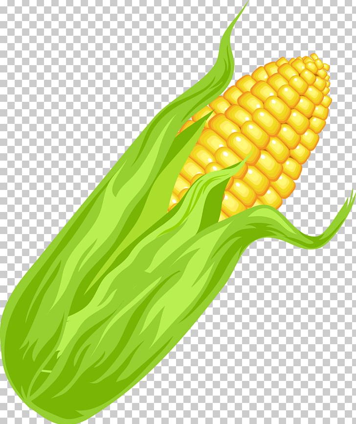 Maize Euclidean Vegetable PNG, Clipart, Aojiru, Apple Fruit, Cdr, Commodity, Corn Free PNG Download