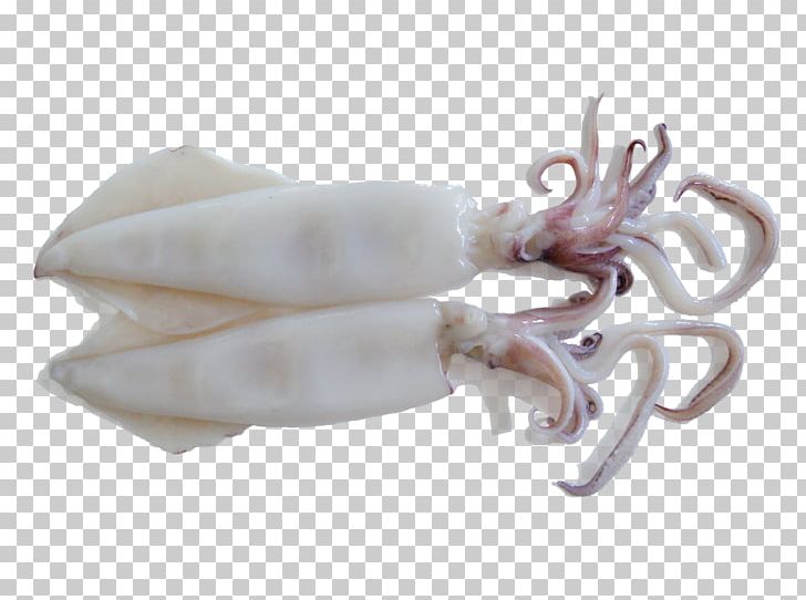 Squid As Food Octopus Meat Sweet And Sour PNG, Clipart, Animal, Animal Source Foods, Asam, Beef, Cattle Free PNG Download