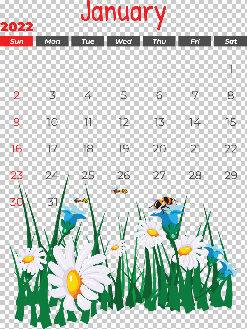 Flower Garden PNG, Clipart, Bees, Common Daisy, Daffodil, Floral Design, Flower Free PNG Download
