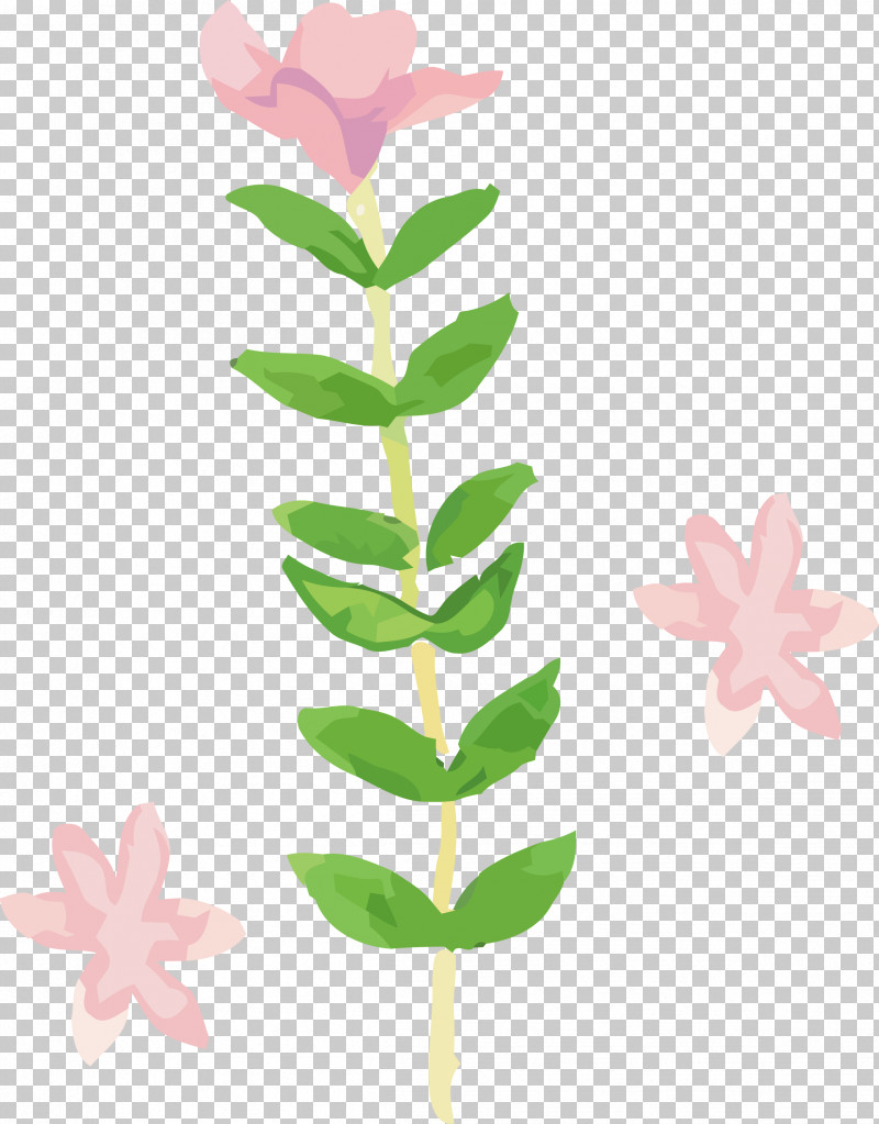 Flower Leaf Plant Pink Pedicel PNG, Clipart, Flower, Leaf, Pedicel, Pink, Plant Free PNG Download