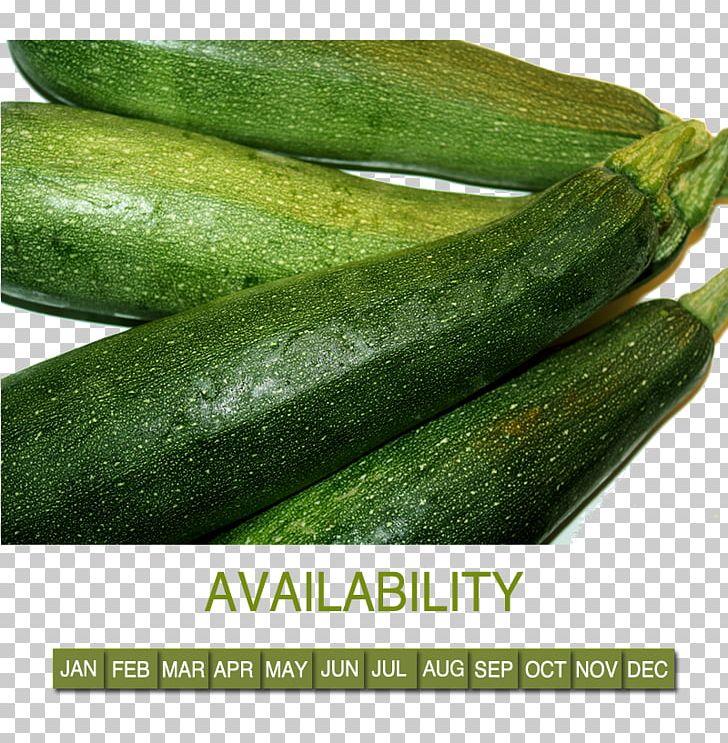 Cucumber Cucurbita Pepo Calabaza Spreewald Gherkins Vegetable PNG, Clipart, Auglis, Calabaza, Cocido, Cucumber, Cucumber Gourd And Melon Family Free PNG Download