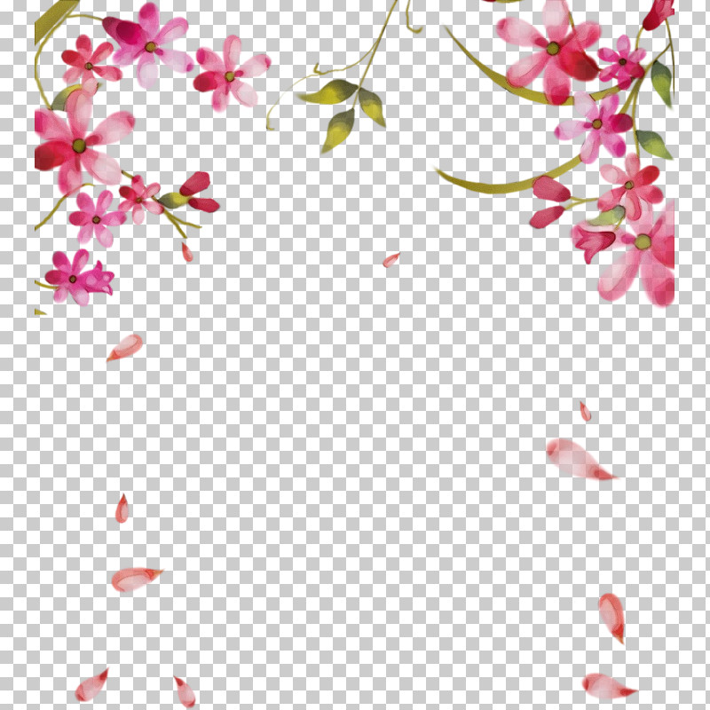 Pink Flower Petal Pedicel Plant PNG, Clipart, Blossom, Branch, Flower, Paint, Pedicel Free PNG Download