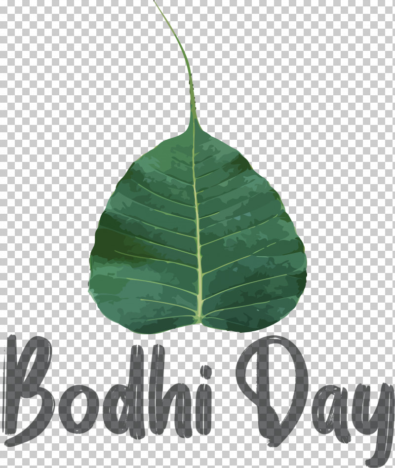 Bodhi Day PNG, Clipart, Biology, Bodhi Day, Leaf, Meter, Plants Free PNG Download