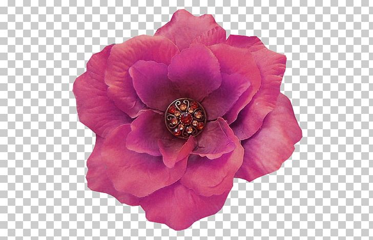 Centifolia Roses Cut Flowers Peony Petal Pink M PNG, Clipart, Centifolia Roses, Cut Flowers, Flower, Flowering Plant, Magenta Free PNG Download