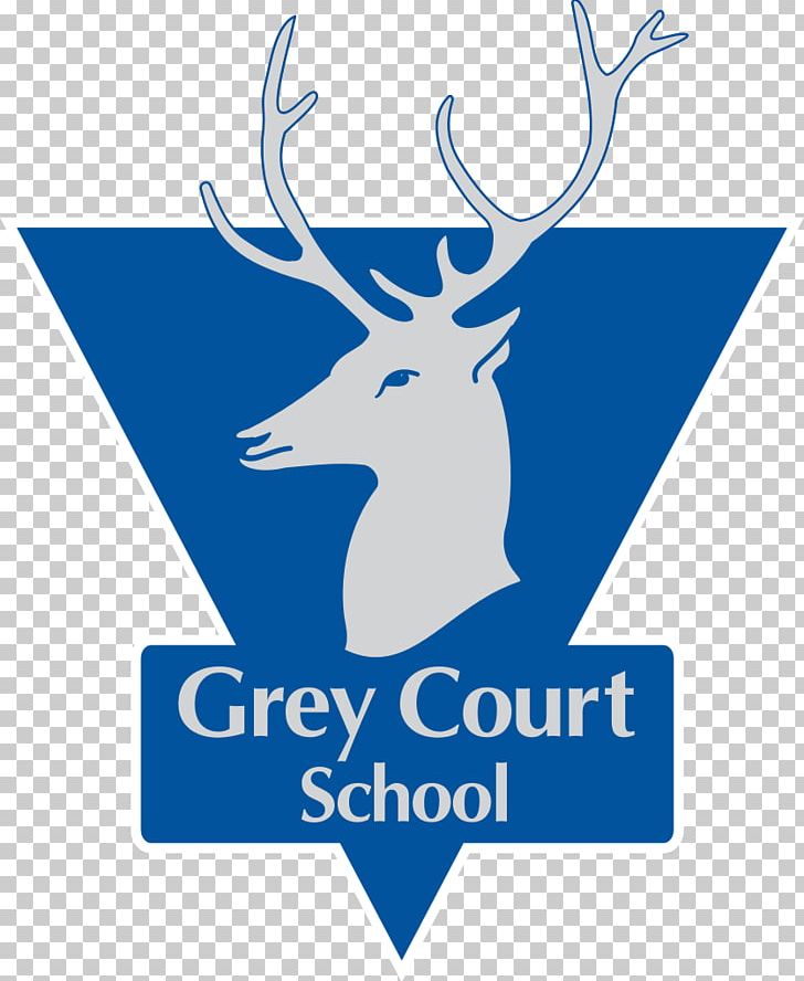 Grey Court School Teddington School Grey Coat Hospital Kew College The Ashcombe School PNG, Clipart, Academy, Antler, Area, Artwork, Brand Free PNG Download