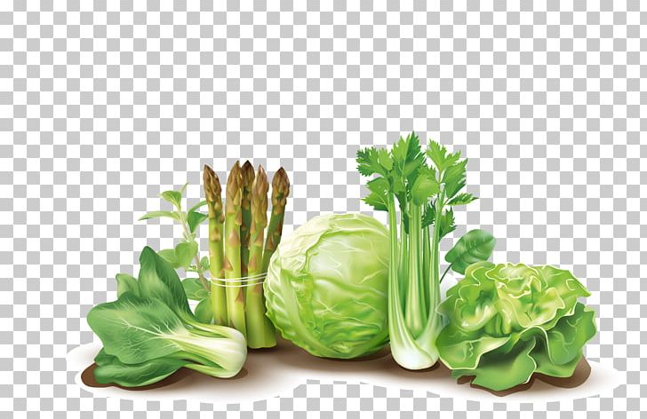 Leaf Vegetable Fruit Bioline Laboratory PNG, Clipart, Broccoli, Chinese Cabbage, Encapsulated Postscript, Food, Illustration Vector Free PNG Download