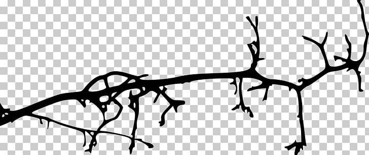 Branch Tree Silhouette PNG, Clipart, Black And White, Branch, Flora, Flower, Leaf Free PNG Download