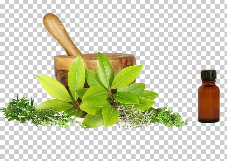 Herbalism Naturopathy Alternative Health Services Medicine PNG, Clipart, Alternative Health, Alternative Health Services, Ayurveda, Essential Oil, Health Free PNG Download