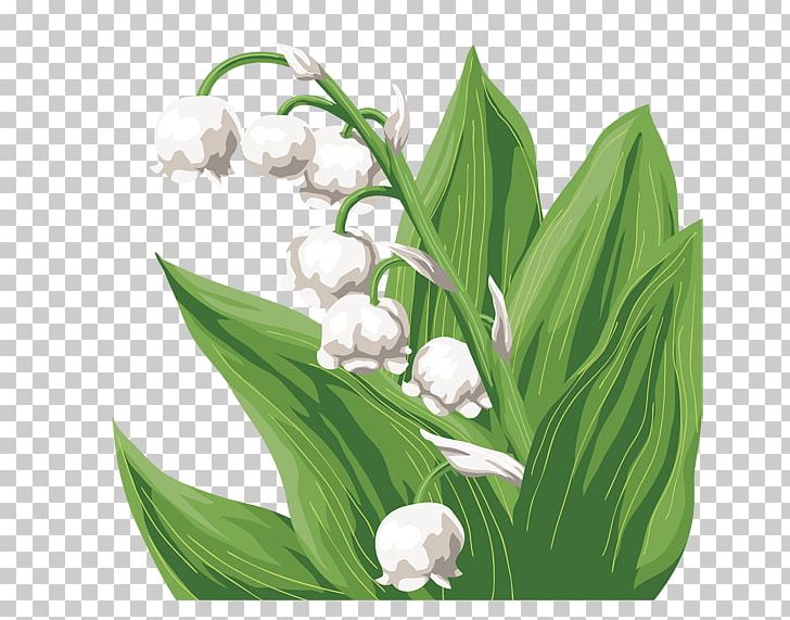 Lily Of The Valley Cut Flowers Flower Bouquet Floral Design PNG, Clipart, Birthday, Cut Flowers, Floral Design, Floristry, Flower Free PNG Download