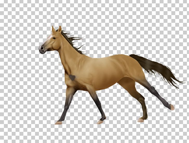 Mustang Foal Mare Stallion Art PNG, Clipart, Animal Figure, Art, Art By, Colt, Deviantart Free PNG Download