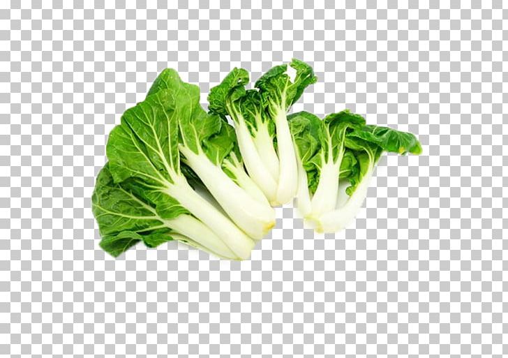 Chinese Cabbage Romaine Lettuce Napa Cabbage Leaf Vegetable PNG, Clipart, Background Green, Cabbage, Chard, Chi, Choy Sum Free PNG Download