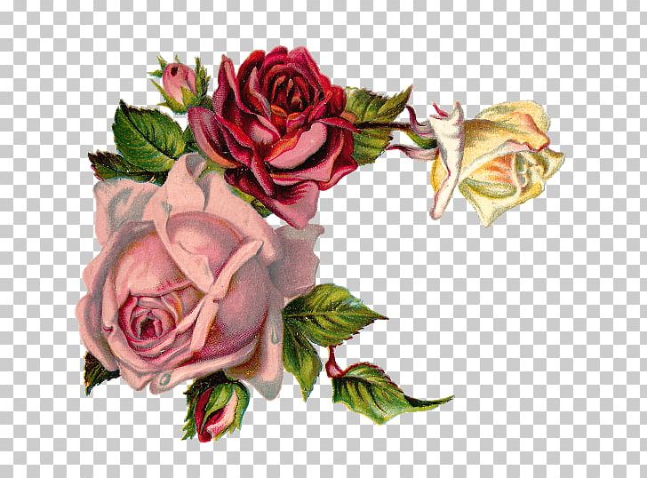 Rose Flower Pink Floral Design PNG, Clipart, Antique, Artificial Flower, Cut Flowers, Floral, Floristry Free PNG Download
