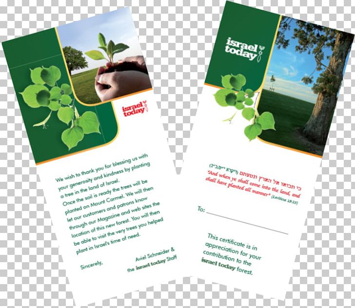Advertising Product Design Brand PNG, Clipart, Advertising, Brand, Brochure, Green Free PNG Download