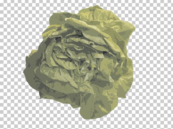 Euclidean Vegetable Fruit PNG, Clipart, Cabbage, Cabbage Cartoon, Cabbage Leaves, Cabbage Vector, Camouflage Free PNG Download