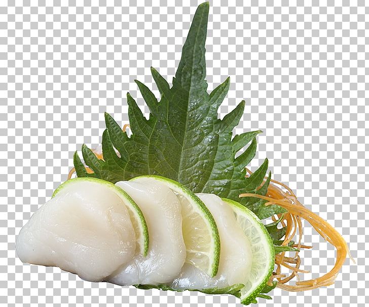 Sashimi Makizushi Leaf Vegetable Yellowtail Amberjack Garnish PNG, Clipart, Asian Food, Atlantic Halibut, Cuisine, Dill, Dish Free PNG Download