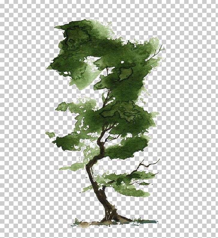 Watercolor Painting Tree Bonsai Art PNG, Clipart, Aquarell Malen, Architecture, Art, Bonsai, Branch Free PNG Download