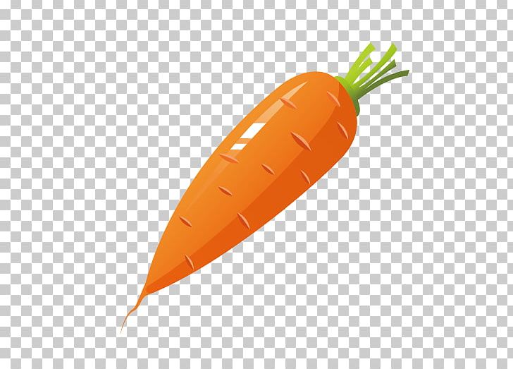 Carrot Cake Vegetable PNG, Clipart, Adobe Illustrator, Bunch Of Carrots, Cake, Carrot, Carrot Cake Free PNG Download
