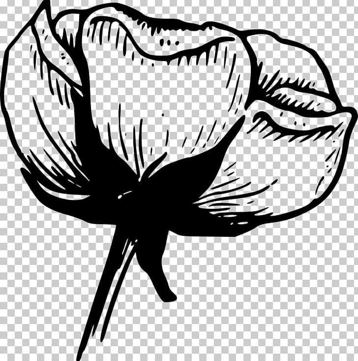 Flower White Black Rose PNG, Clipart, Artwork, Beak, Bird, Black, Black And White Free PNG Download