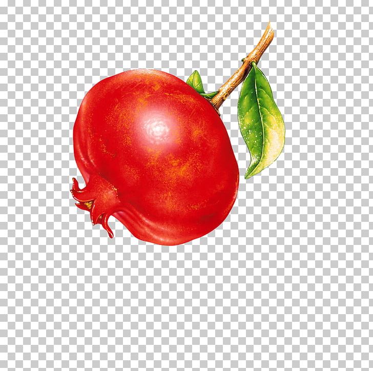 Fruit Pomegranate Food PNG, Clipart, Acerola, Acerola Family, Apple, Auglis, Fruit Nut Free PNG Download
