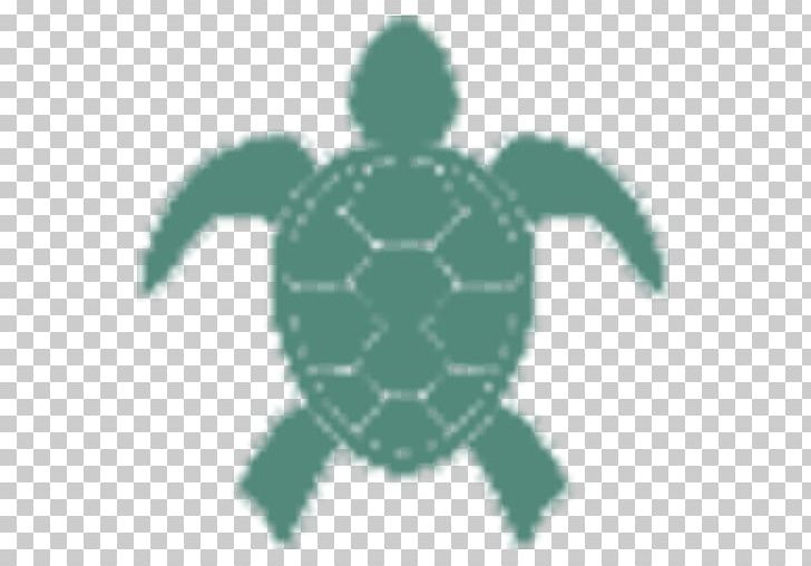 Little Cayman Sea Turtle Real Estate Real Property Land Lot PNG, Clipart, Cayman Islands, Condominium, Estate Agent, Grass, Green Free PNG Download